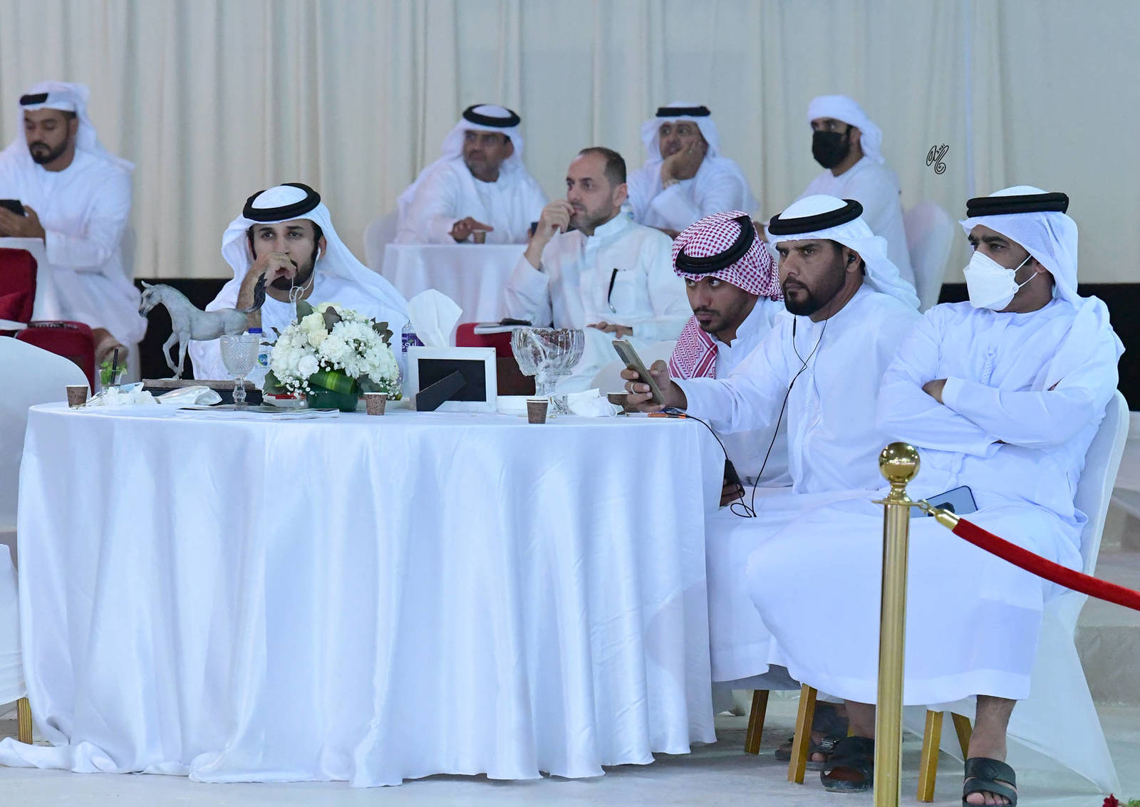 The 2021 UAE National Arabian Horse Championship ~ Abu Dhabi PHOTO GALLERY