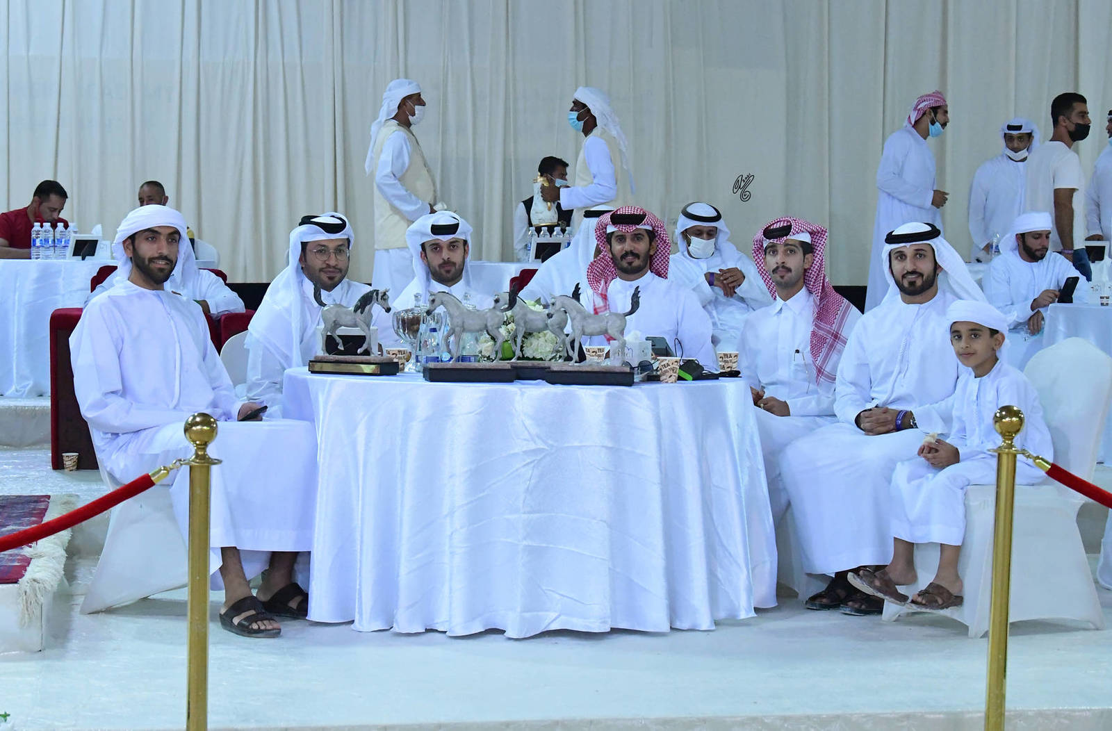 The 2021 UAE National Arabian Horse Championship ~ Abu Dhabi PHOTO GALLERY