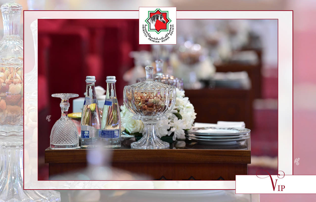 The 2021 UAE National Arabian Horse Championship ~ Abu Dhabi PHOTO GALLERY