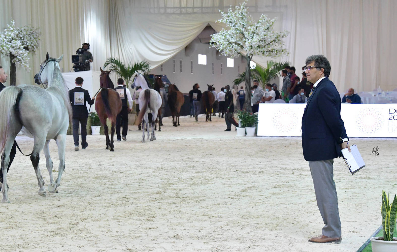 Judge Mohamed Machmoum (MOR)