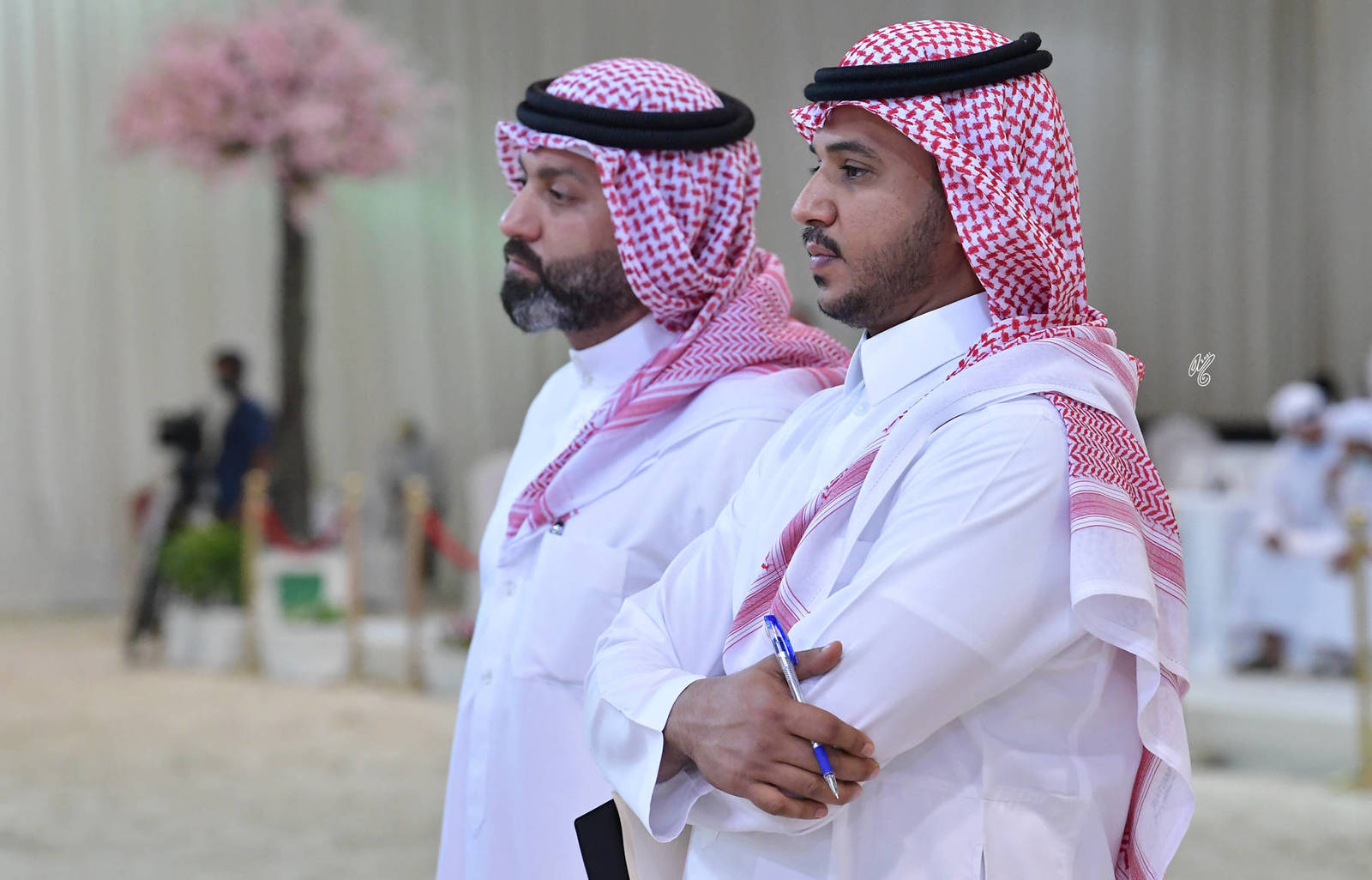 The 2021 UAE National Arabian Horse Championship ~ Abu Dhabi PHOTO GALLERY