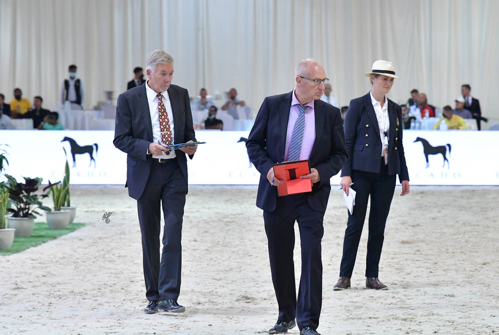 The 2021 UAE National Arabian Horse Championship ~ Abu Dhabi PHOTO GALLERY