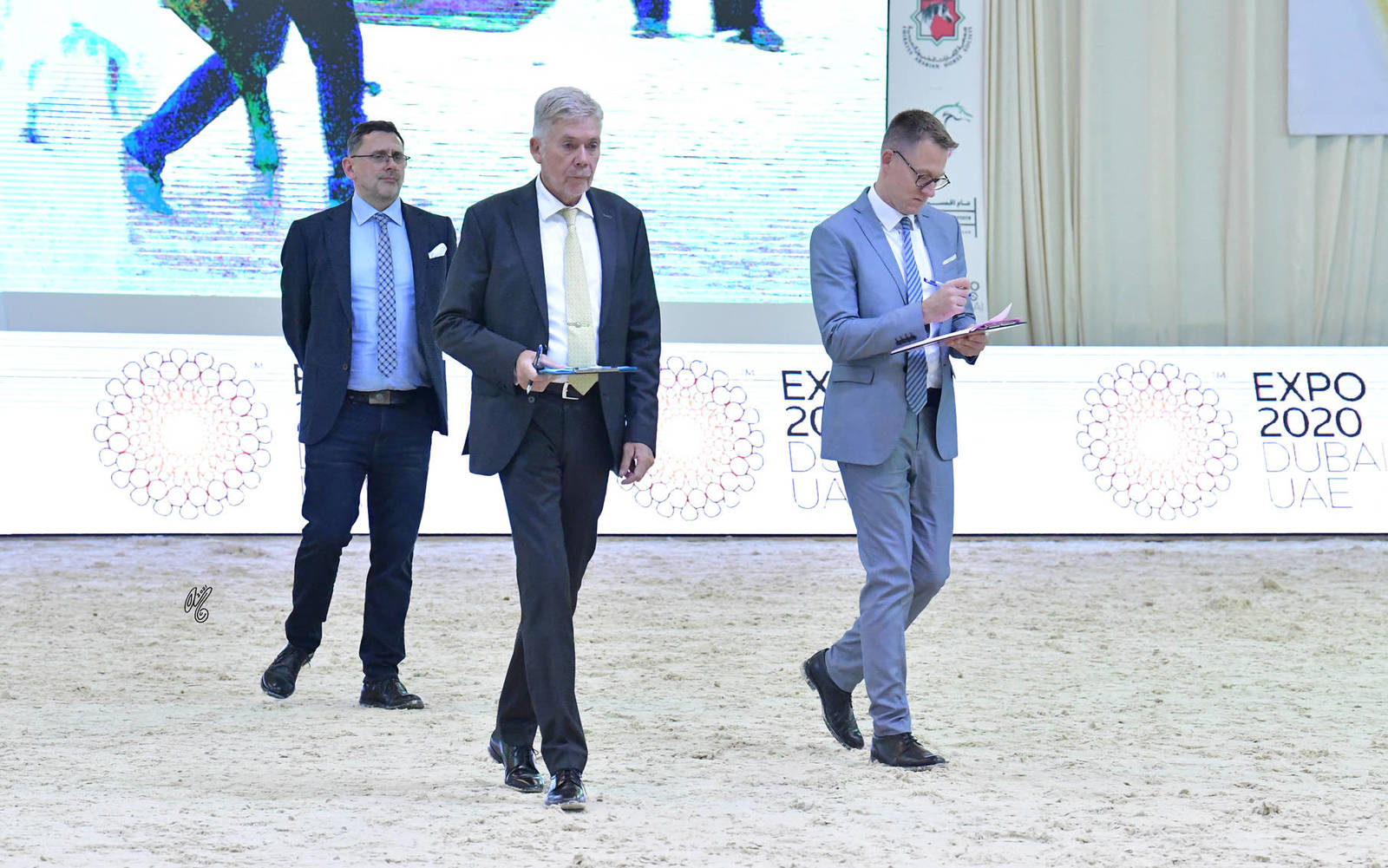 The 2021 UAE National Arabian Horse Championship ~ Abu Dhabi PHOTO GALLERY