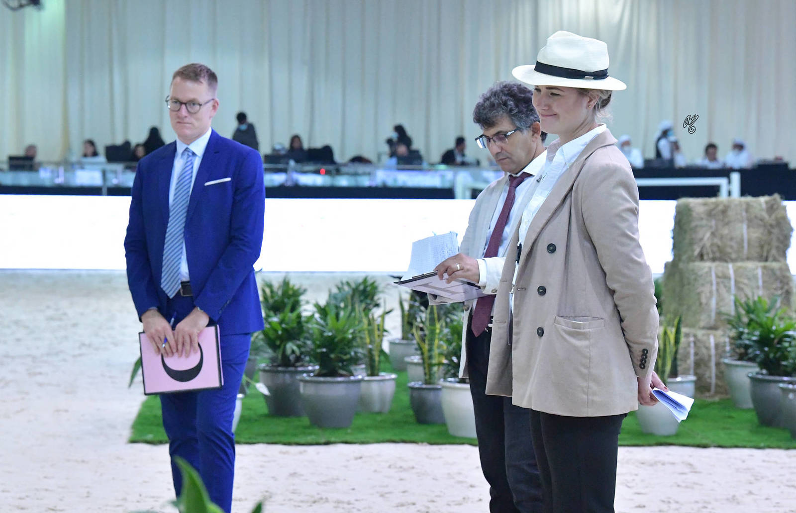 The 2021 UAE National Arabian Horse Championship ~ Abu Dhabi PHOTO GALLERY