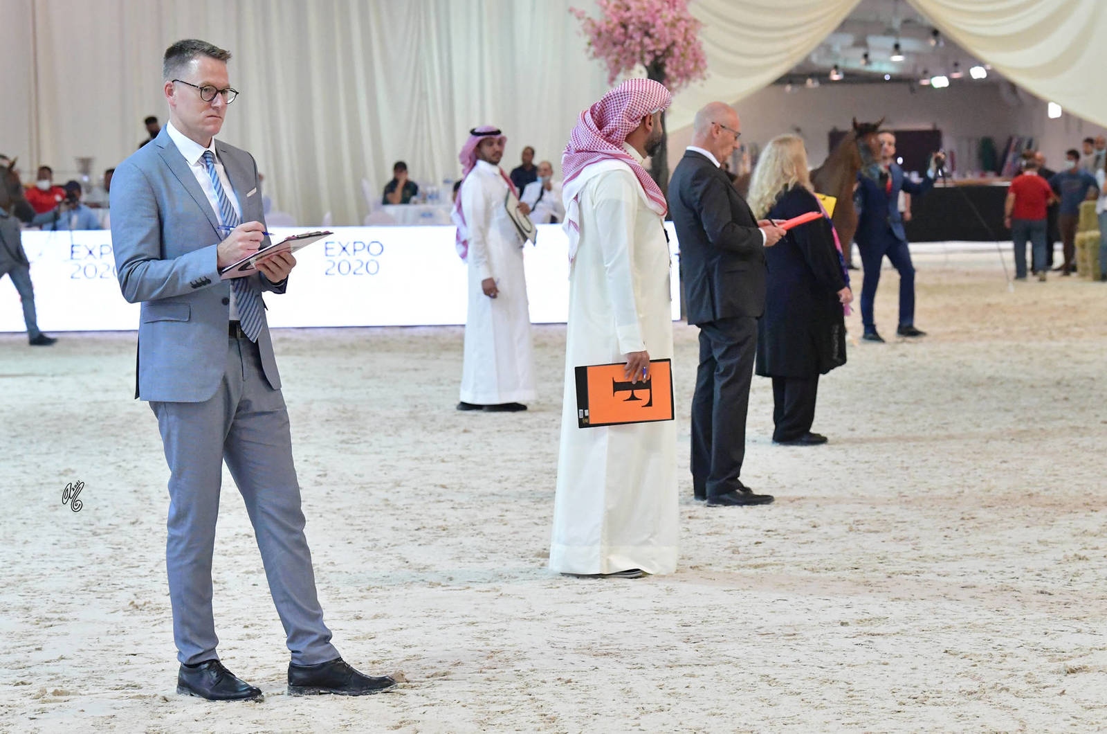 The 2021 UAE National Arabian Horse Championship ~ Abu Dhabi PHOTO GALLERY