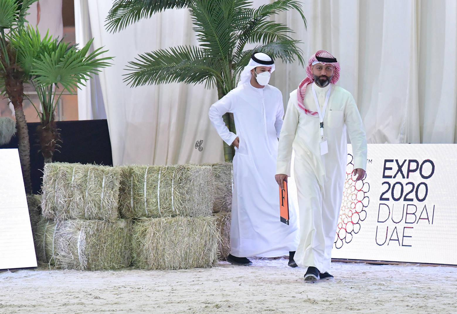 The 2021 UAE National Arabian Horse Championship ~ Abu Dhabi PHOTO GALLERY