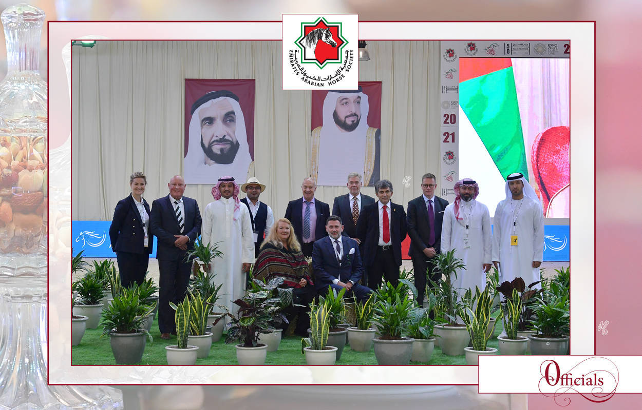 The 2021 UAE National Arabian Horse Championship ~ Abu Dhabi PHOTO GALLERY