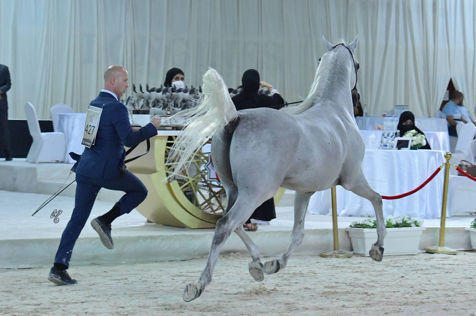 Stallions 10 and Over: Larando 