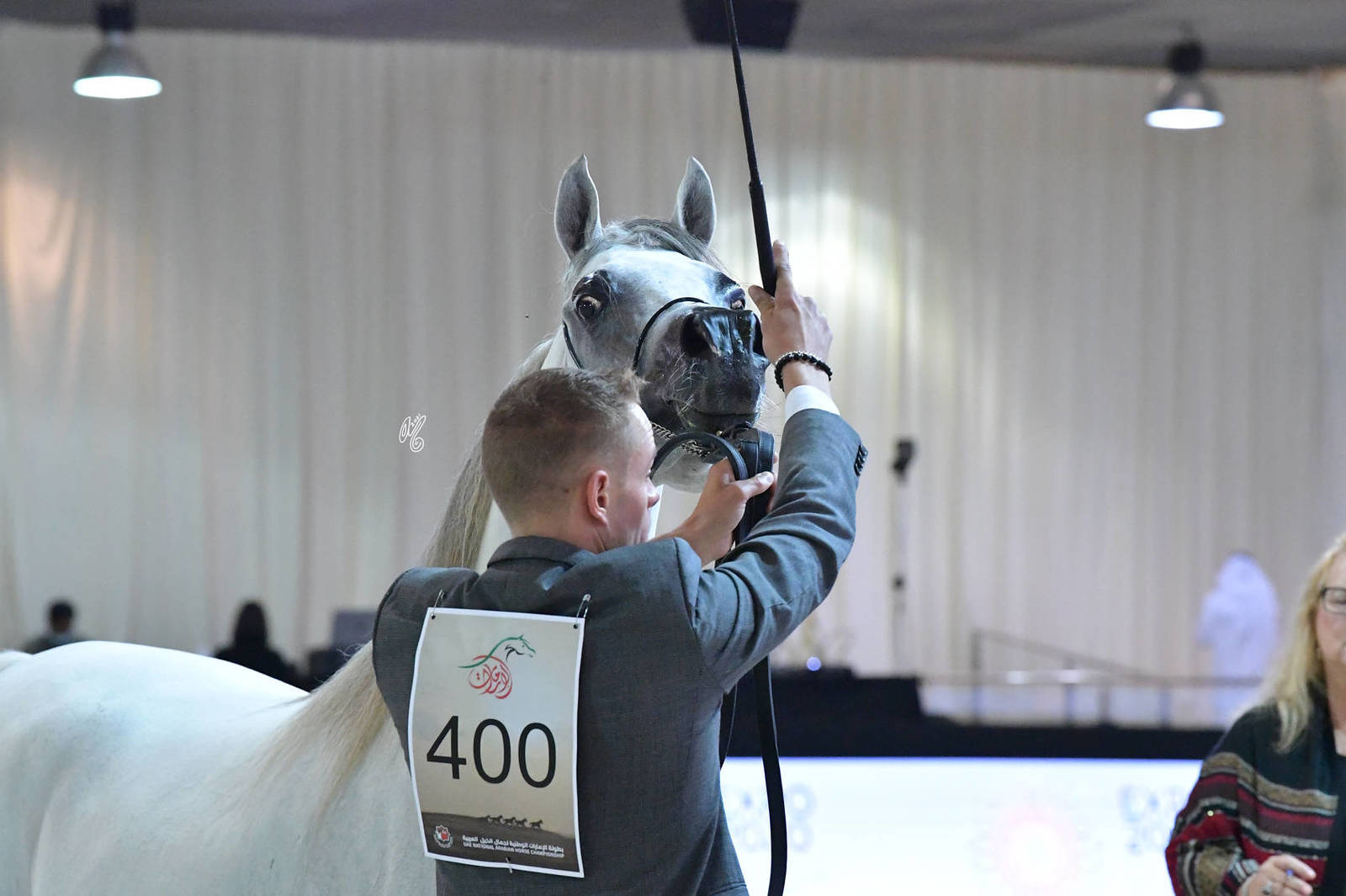 Stallions 4-6 Years: Meqdam Alkhatem 