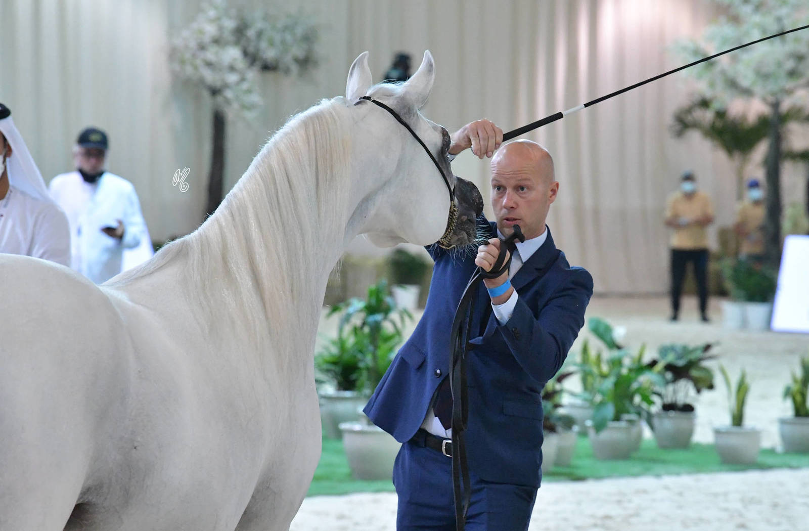 Stallions 4-6 Years: Bahi Jumerah