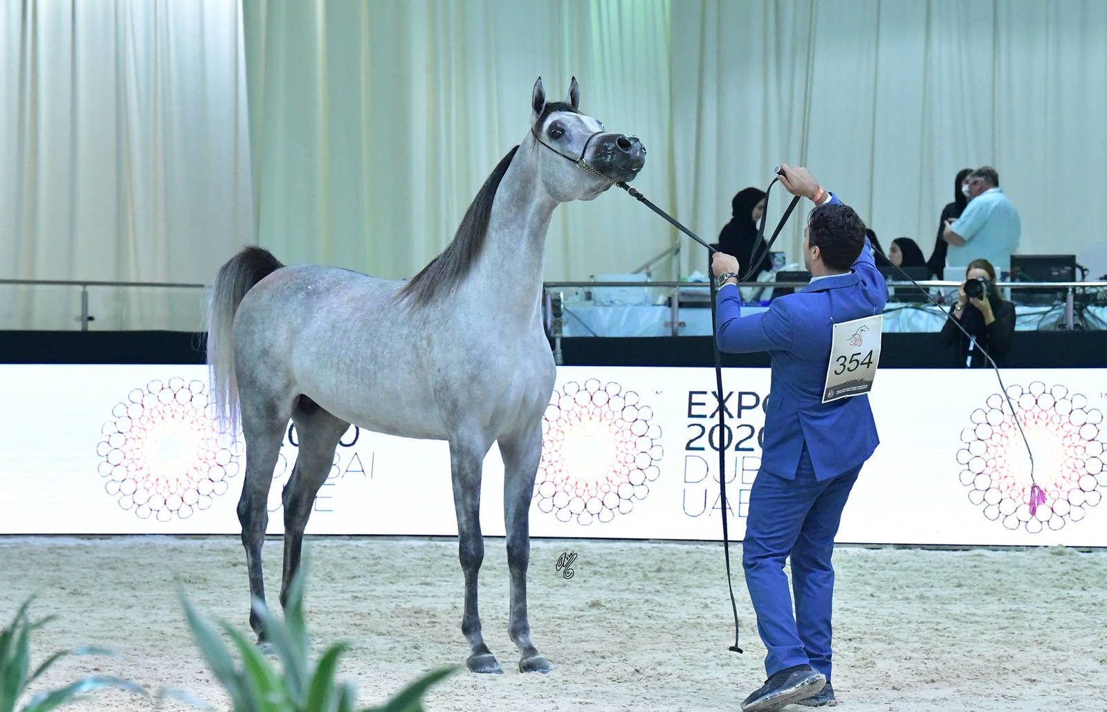 Colts 3 Years: Tahan Ghaleb