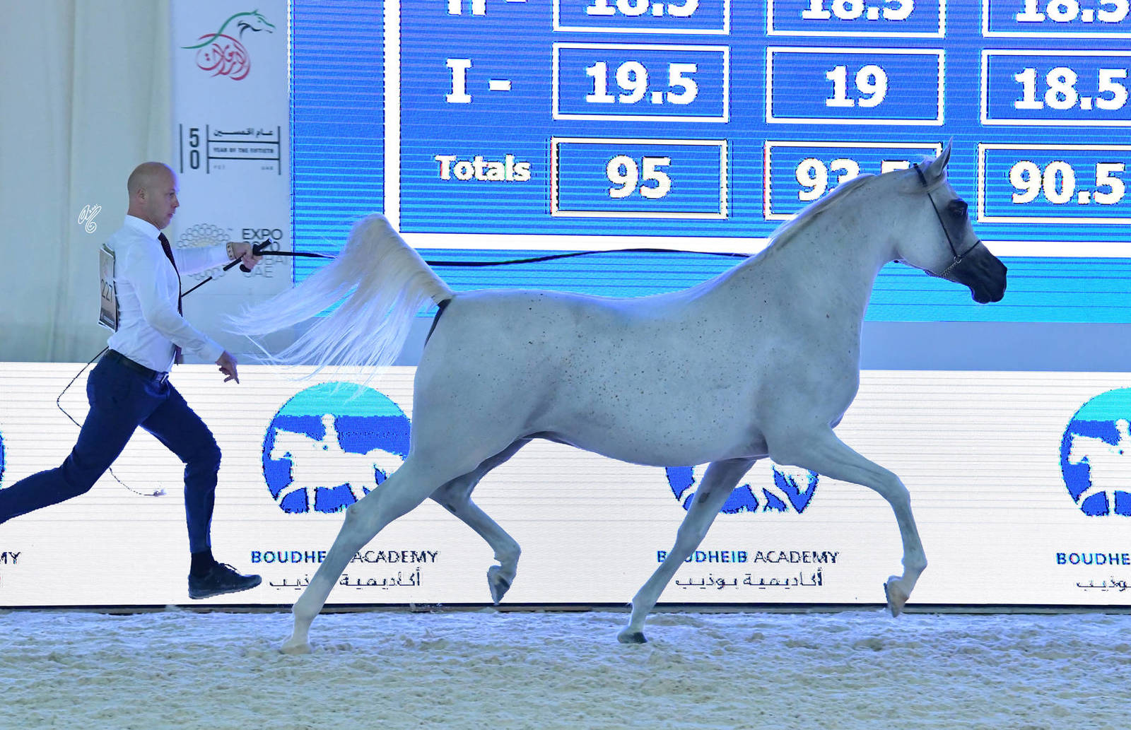 Mares 7-9 Years: Zina K.A. 