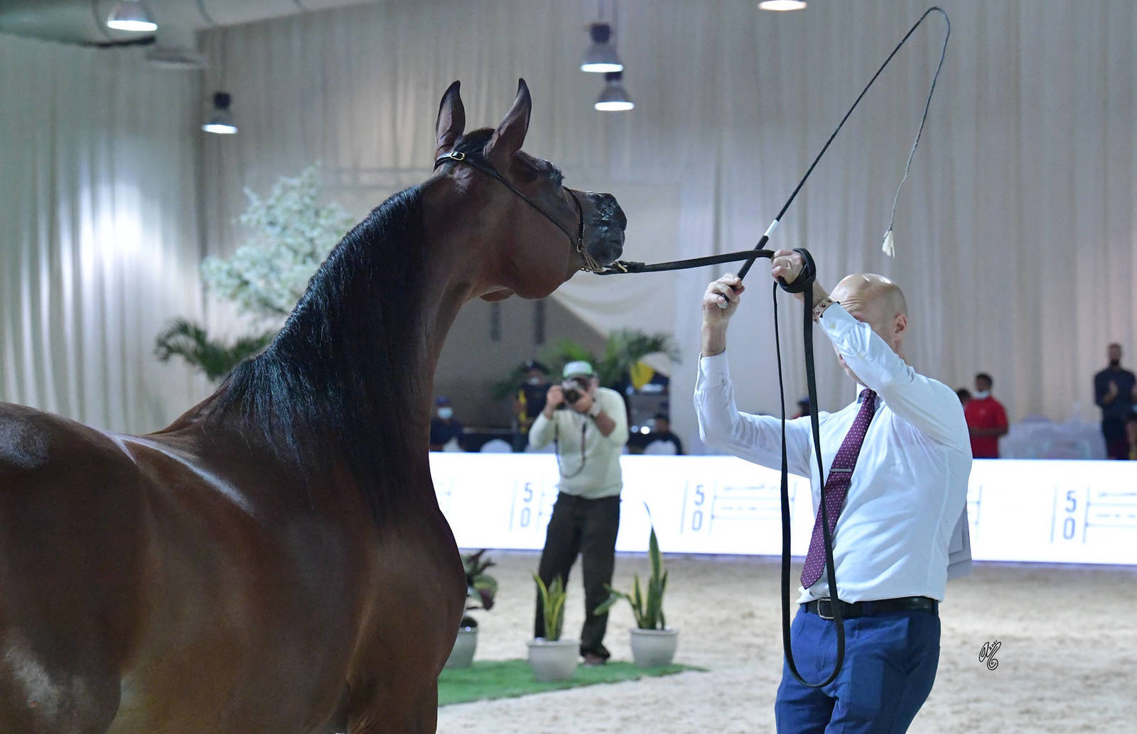 Mares 7-9 Years: Muniat Babel