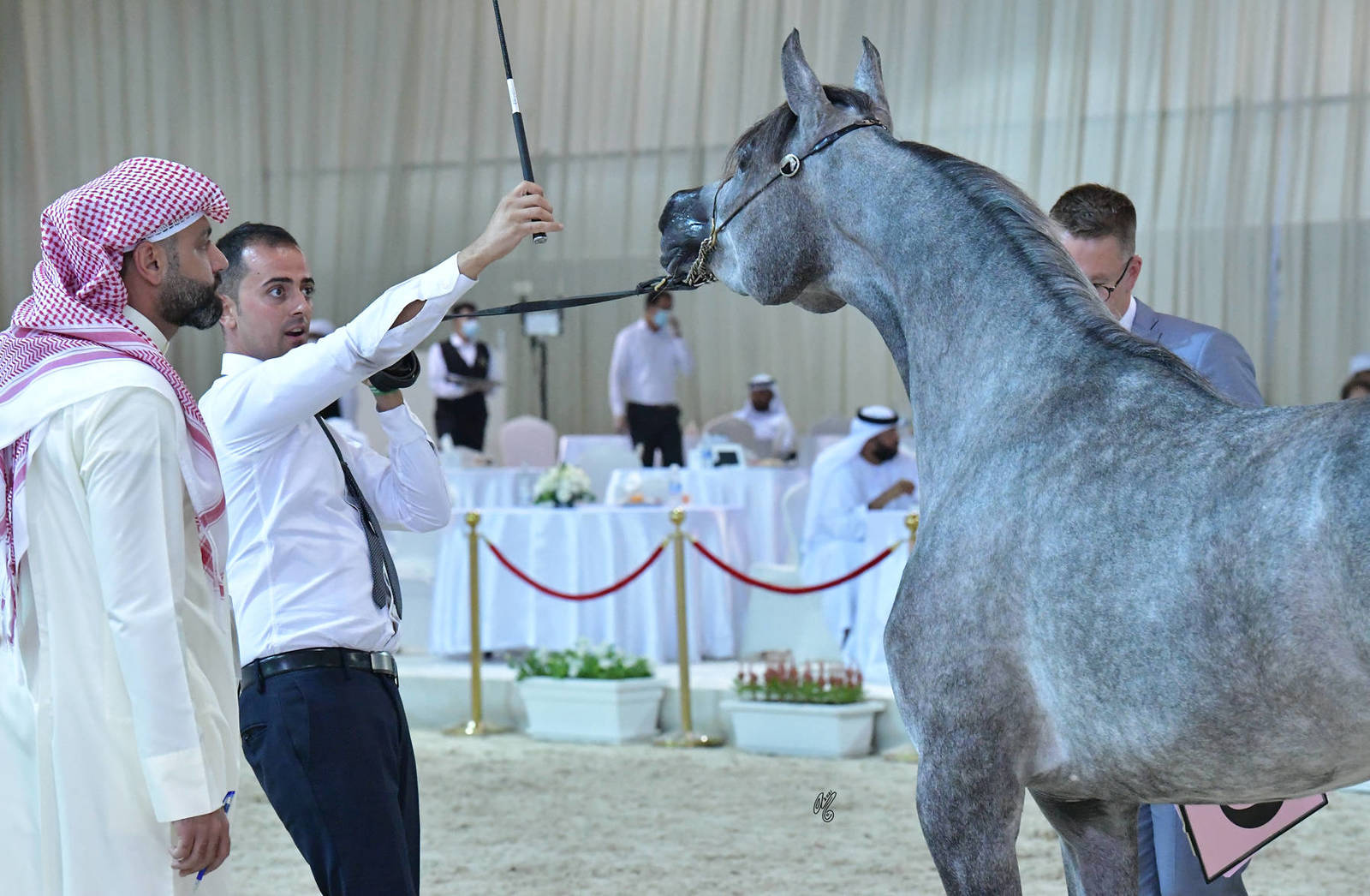 Fillies 3 Years: K Liali