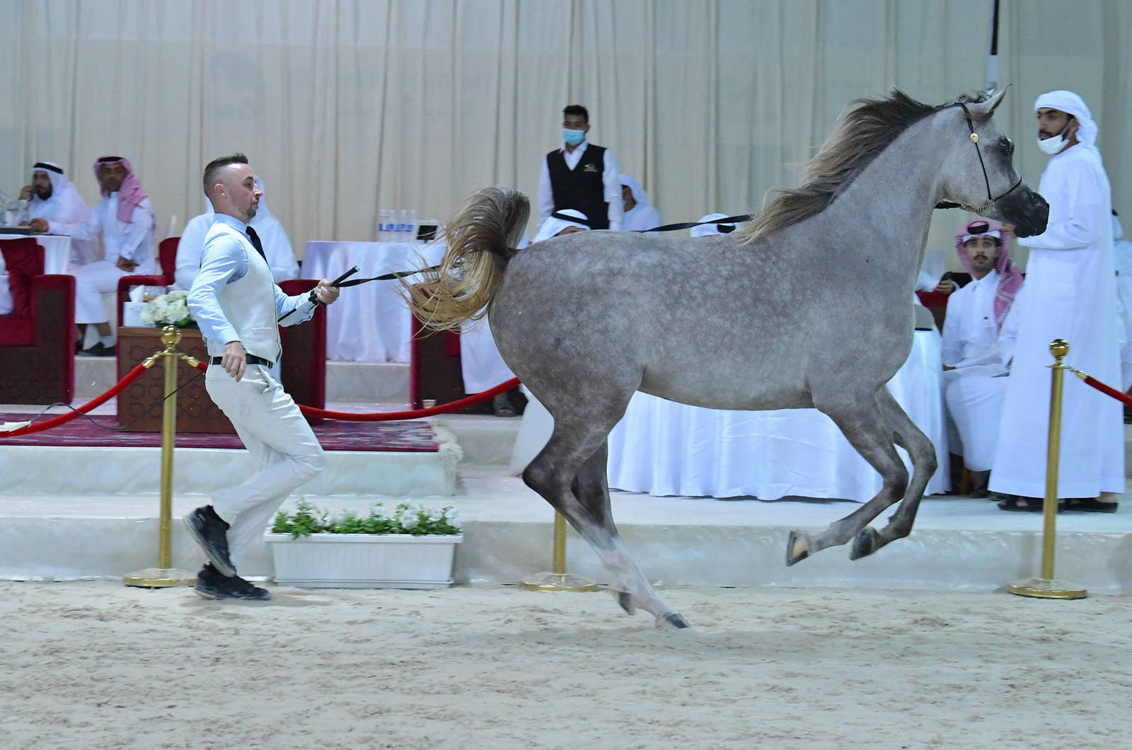 Fillies 3 Years: Al Aryam Borooq 