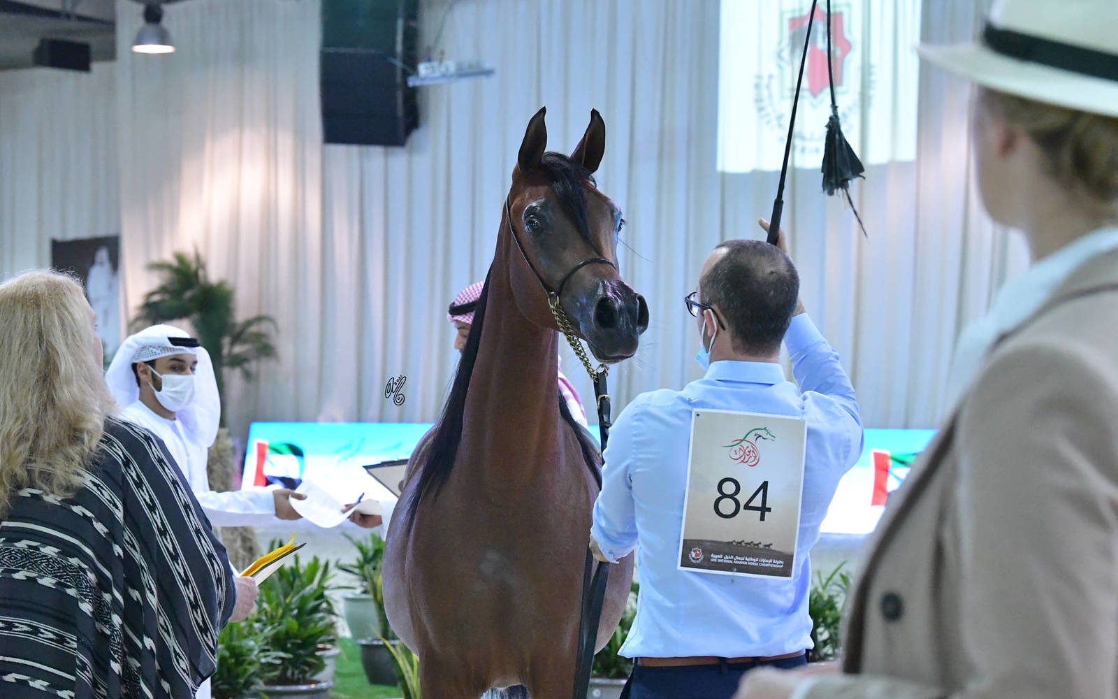 Fillies 2 Years: Ghanadeer Al Bidayer 