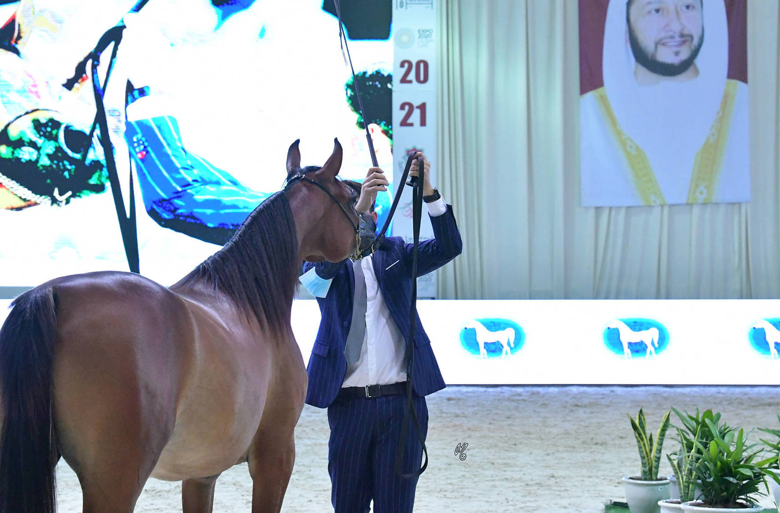 Fillies 2 Years: Bidayer Albadr