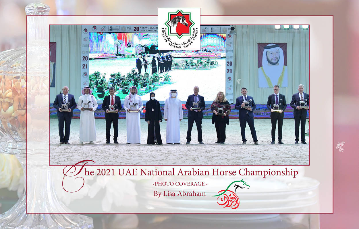 The 2021 UAE National Arabian Horse Championship ~ Abu Dhabi PHOTO GALLERY