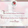 The 2021 UAE National Arabian Horse Championship ~ Abu Dhabi PHOTO GALLERY