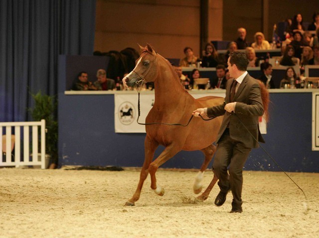 ¸Marquis Cahr 1  47.jpg