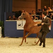 ¸Marquis Cahr 1  47.jpg