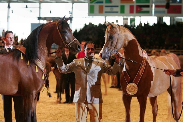 ¸Marajj 1   + Marquis Cahr 1    36.jpg