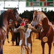 ¸Marajj 1   + Marquis Cahr 1    36.jpg