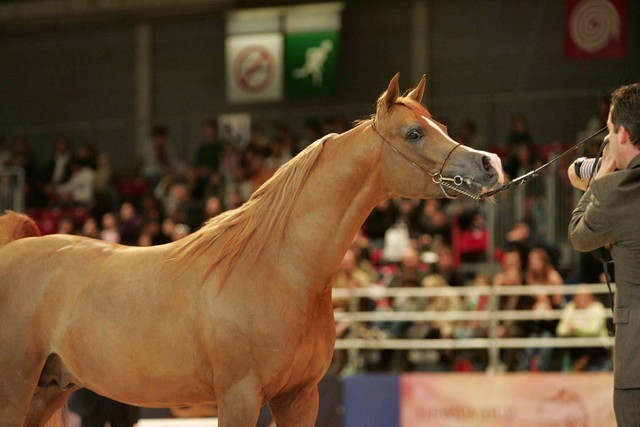 ¸Marquis Cahr 1   76.jpg