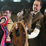 ¸Layan Al Khalediah  1  8.jpg