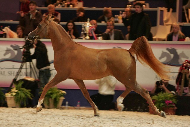 ¸Marquis Cahr 1   66.jpg