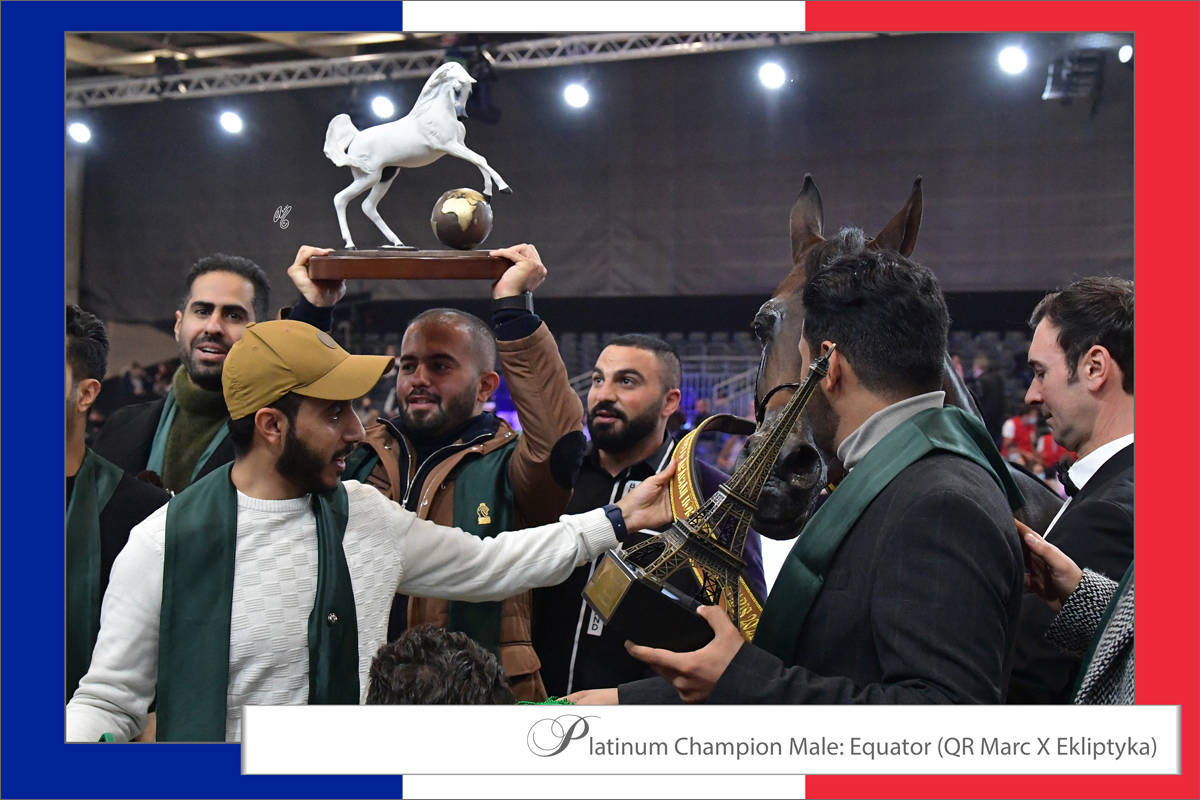 LISA ABRAHAM The 2021 Arabian Horse World Championship ~ Paris!  PHOTO GALLERY