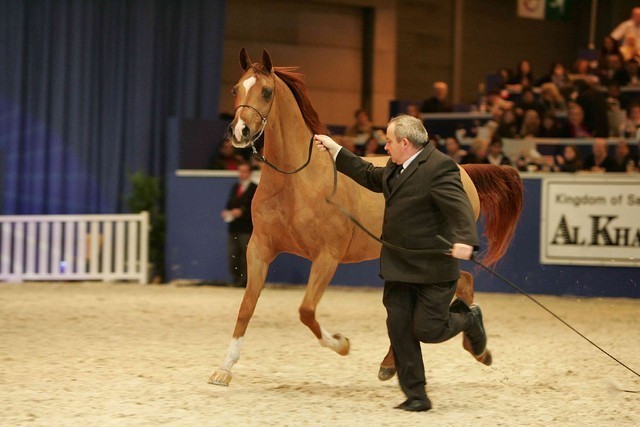 ¸Kwestura 1  91.jpg