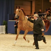 ¸Kwestura 1  91.jpg