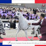 LISA ABRAHAM The 2021 Arabian Horse World Championship ~ Paris!  PHOTO GALLERY