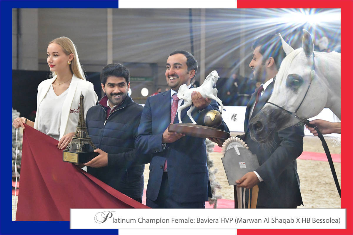LISA ABRAHAM The 2021 Arabian Horse World Championship ~ Paris!  PHOTO GALLERY