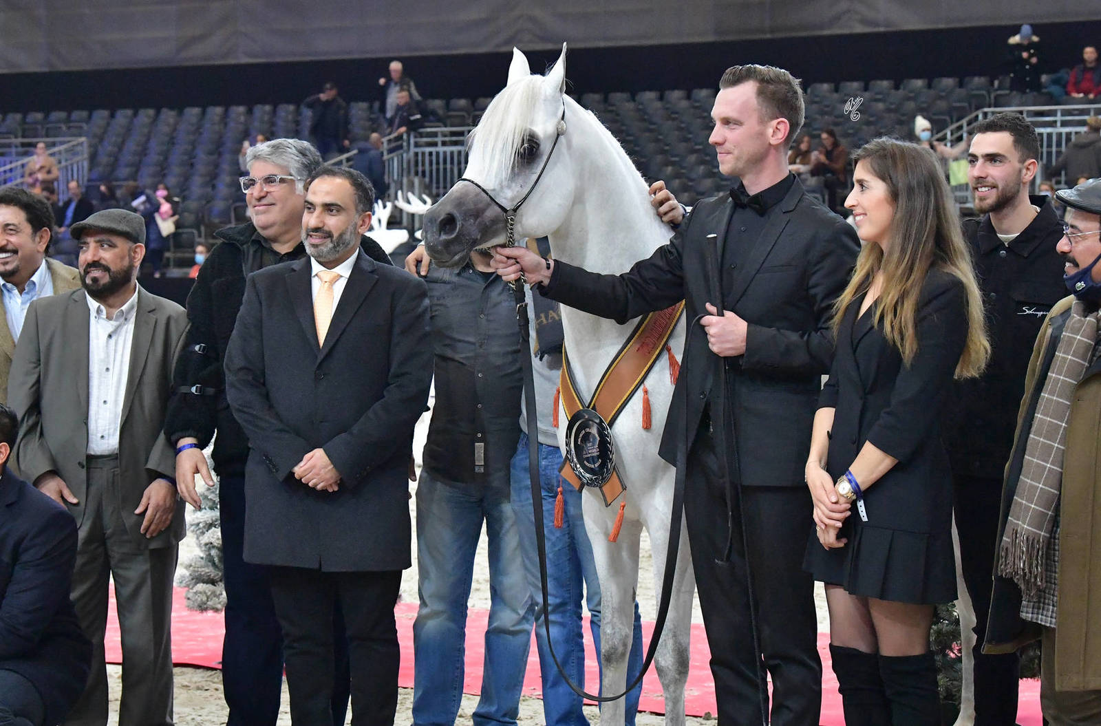 Senior Male Bronze Champion: Harbi Al Adwan (Asfoor Al Waab X Wadha Al Adwan)