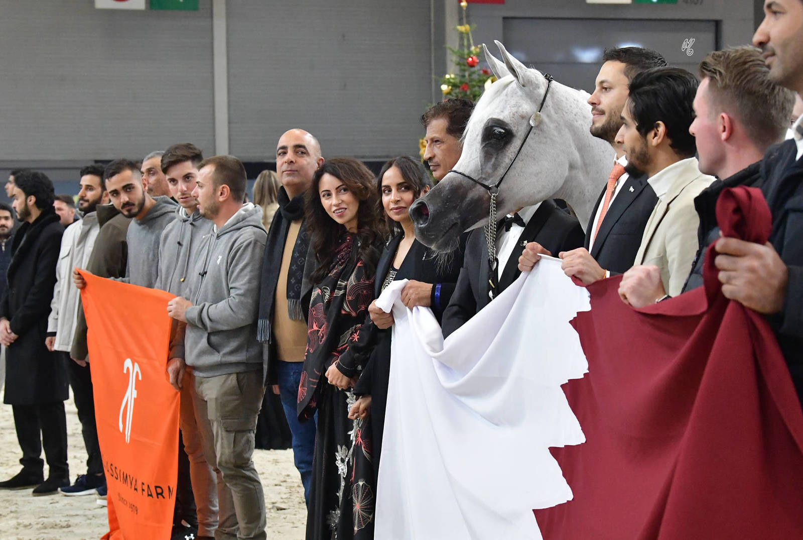 Senior Female Gold Champion: Noft Al Nayfat (Ajman Monsicione X Eagleridge Passionata)