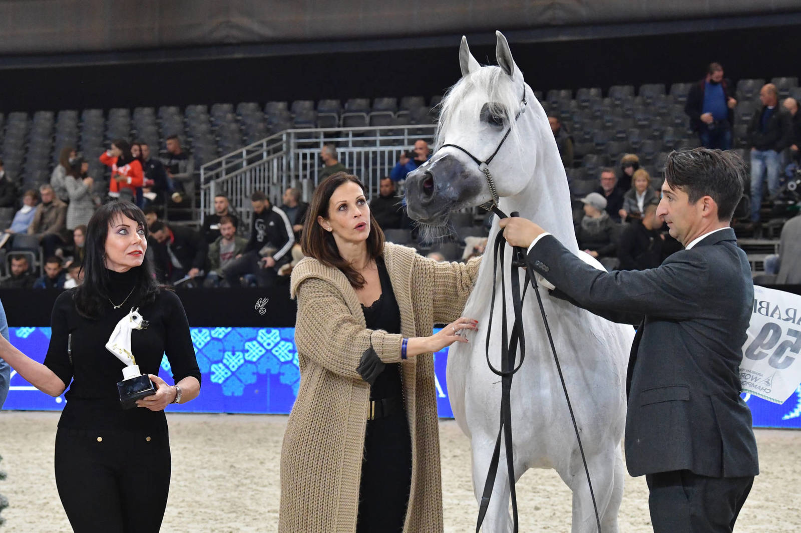 Senior Female Silver Champion: Mozn Albidayer (SMA Magic One X Mattaharii)