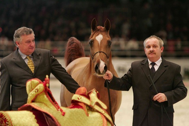 ¸Kwestura 1  212.jpg