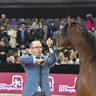 Junior Male Gold Champion: D Mezyan (FA El Rasheem X D Mazaia)