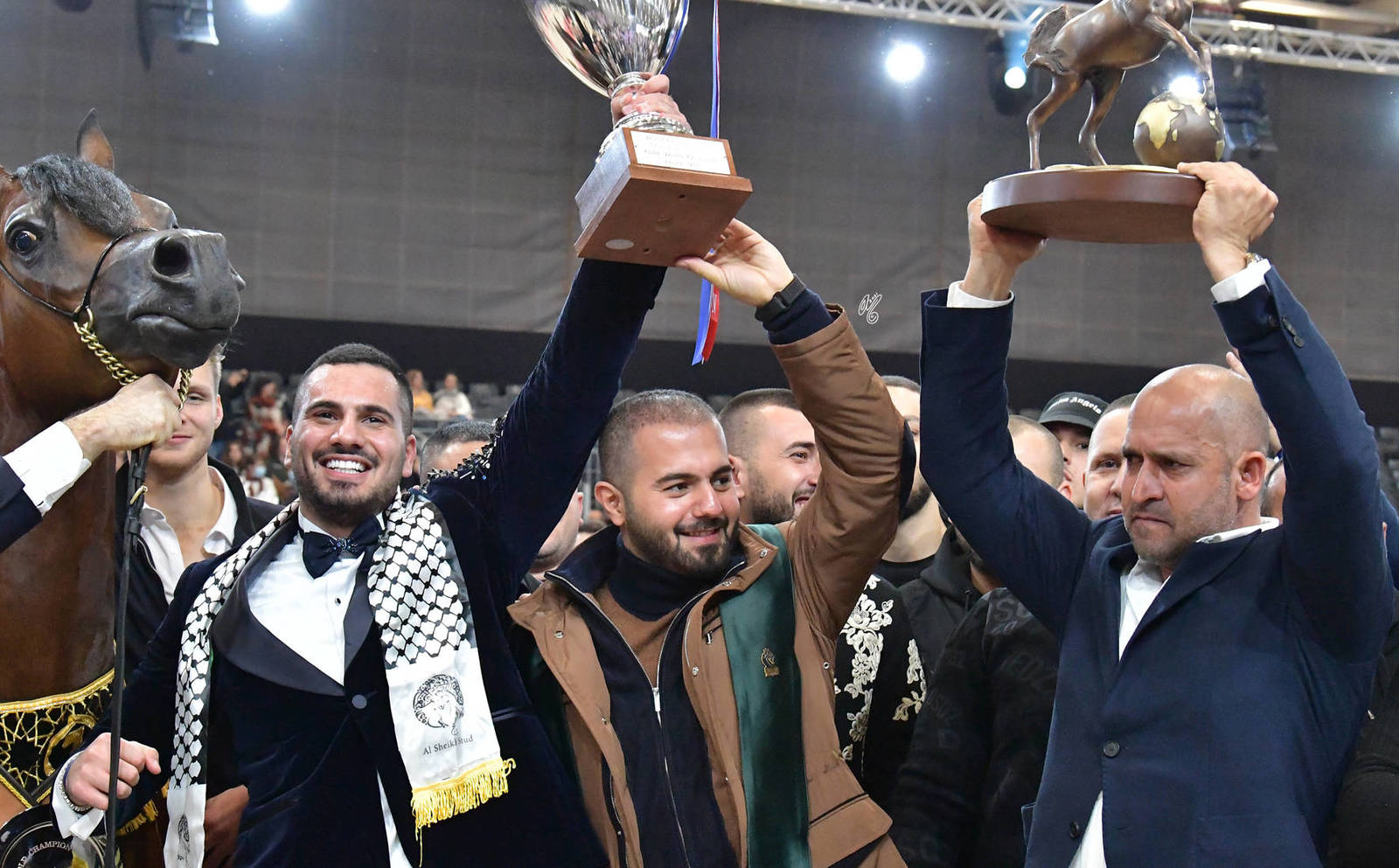 Junior Male Gold Champion: D Mezyan (FA El Rasheem X D Mazaia)