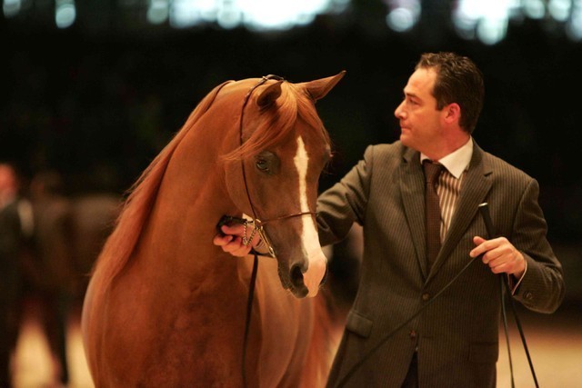 ¸Marquis Cahr 1    72.jpg