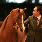 ¸Marquis Cahr 1    72.jpg