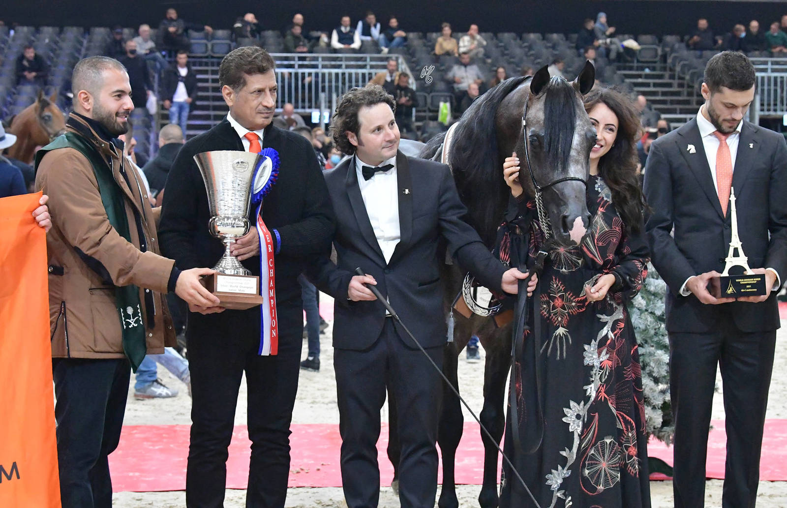 Junior Male Silver Champion: RDS Armani (Excalibur EA X Stellaris BPA)