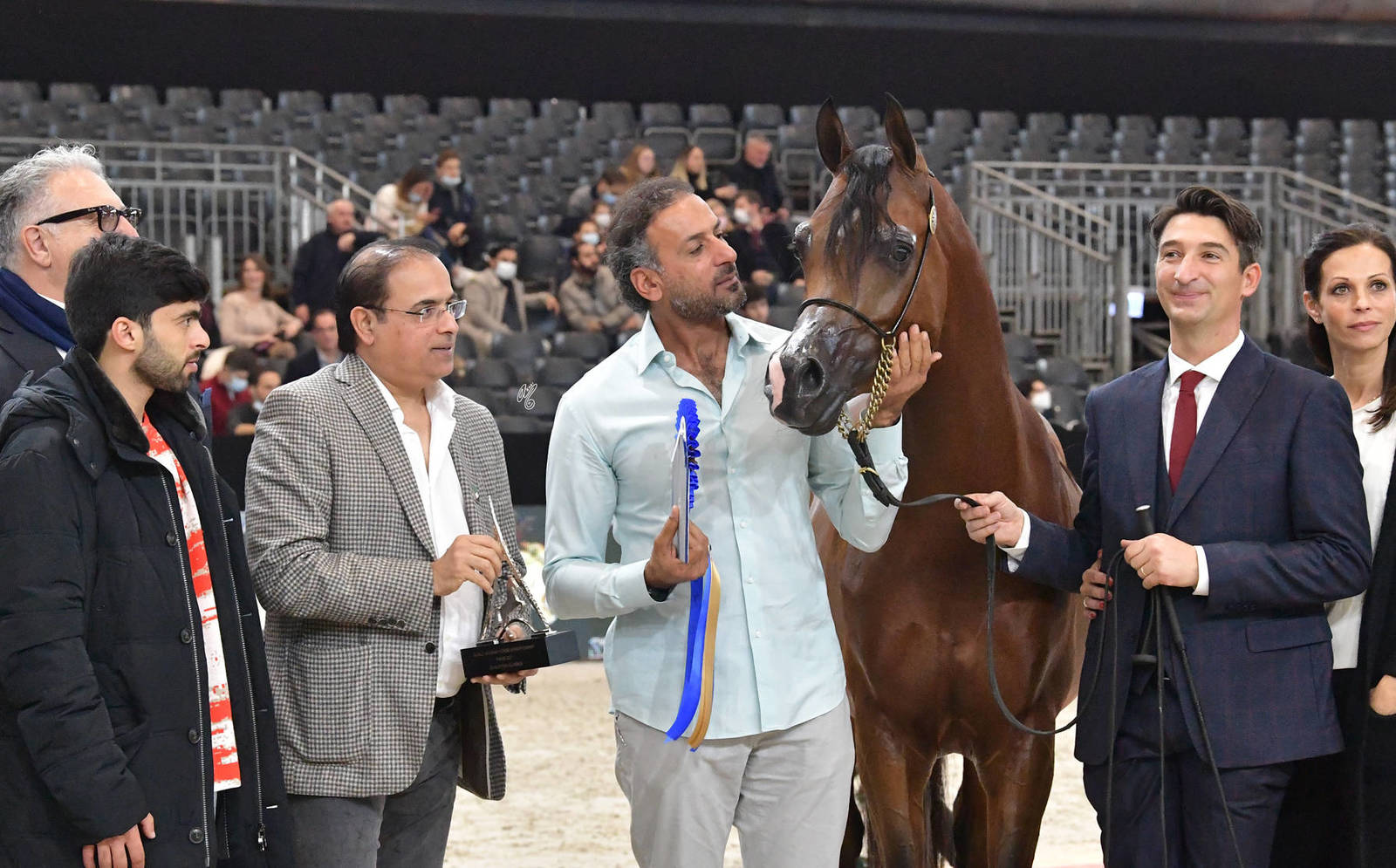 Junior Male Bronze Champion: D Sheimaz (FA El Rasheem X Ladi Veronika)