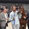 Junior Male Bronze Champion: D Sheimaz (FA El Rasheem X Ladi Veronika)