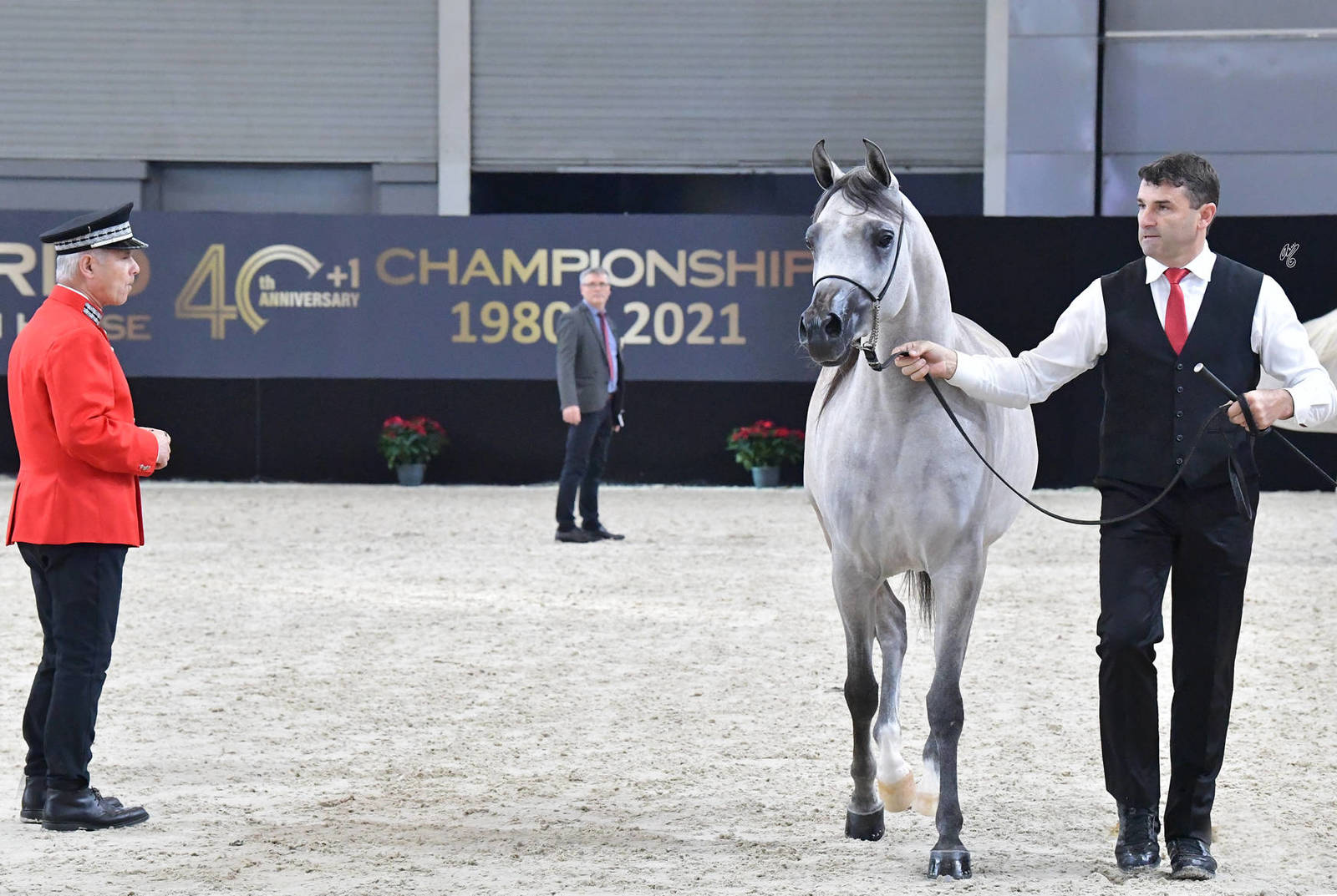 Junior Female Silver Champion: Al Aryam Banafsaj (Dominic M X Al Aryam Basma)