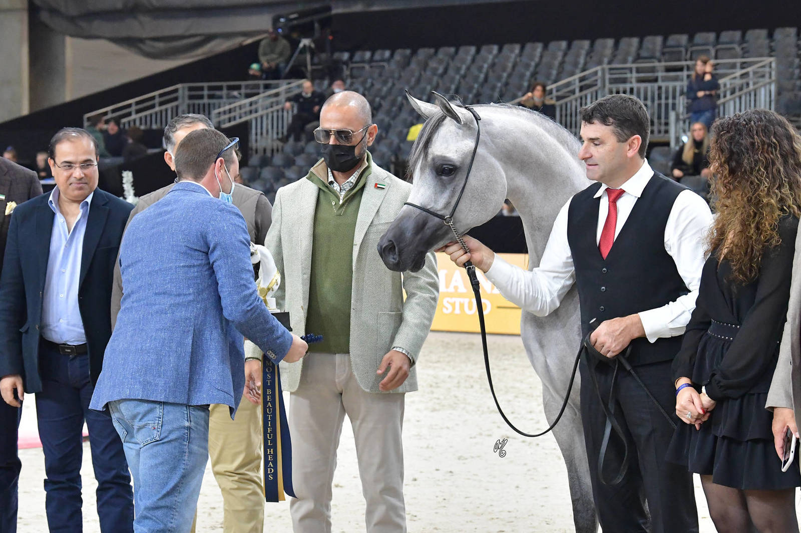 Junior Female Silver Champion: Al Aryam Banafsaj (Dominic M X Al Aryam Basma)