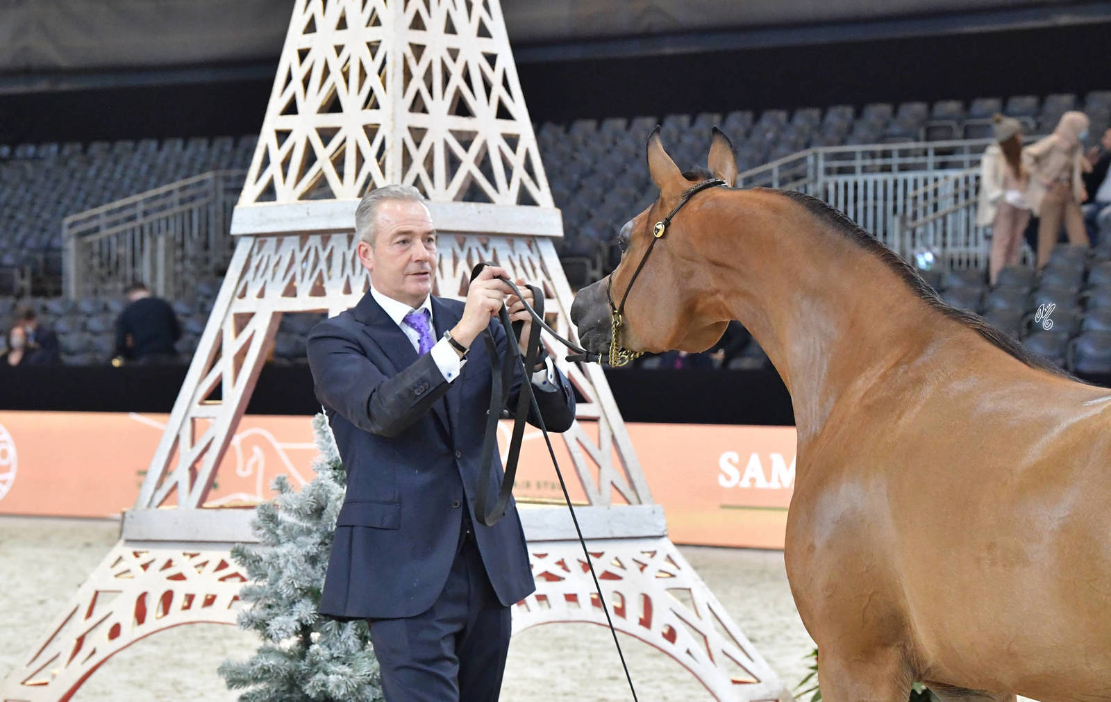 Junior Female Bronze Champion: RDS Exquiste (Excalilbur EA X Angelica KS)