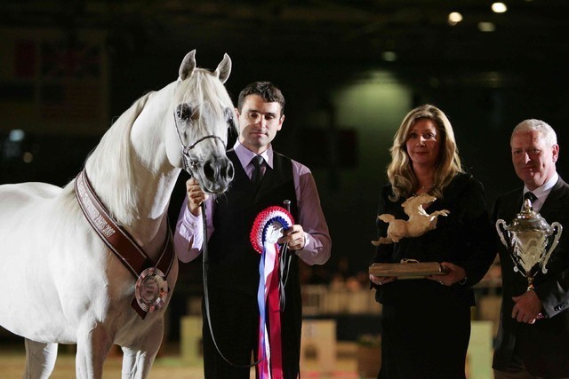 ¸Escape Ibn Navarrone D 1  83.jpg